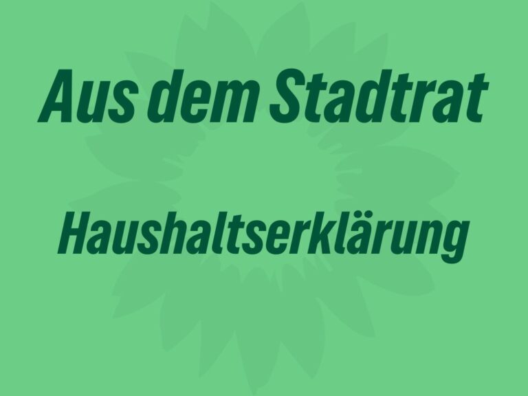 Haushaltserklärung 2025