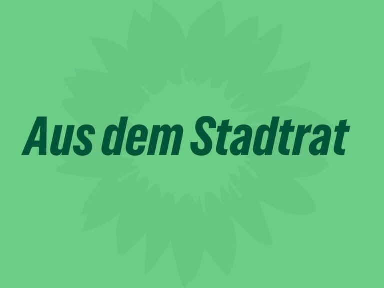 Rede zur beantragten Ausrufung des Klimanotstands