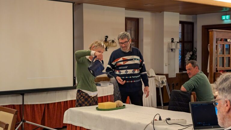 Schwammstadt Rothenburg?